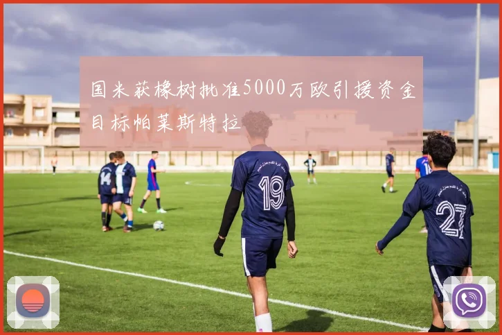 国米获橡树批准5000万欧引援资金目标帕莱斯特拉